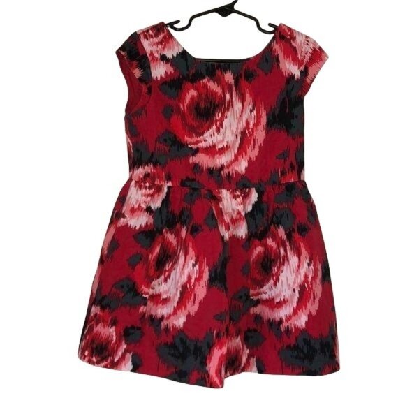 GapKids XS Floral Patterned Sleeveless Dress With Red & Pink Abstract Rose Print - Picture 1 of 6